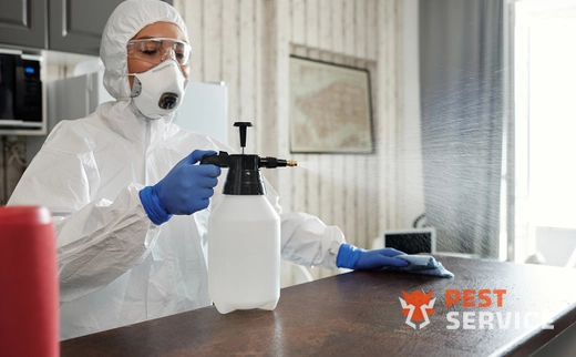 Дезинфекция в Полевском