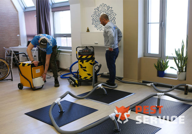 Профессиональная сушка после потопа в Полевском от 3000 руб. Быстро устраняем влагу, предотвращаем плесень и повреждения. Современное оборудование и опытные специалисты. Безопасно и эффективно.